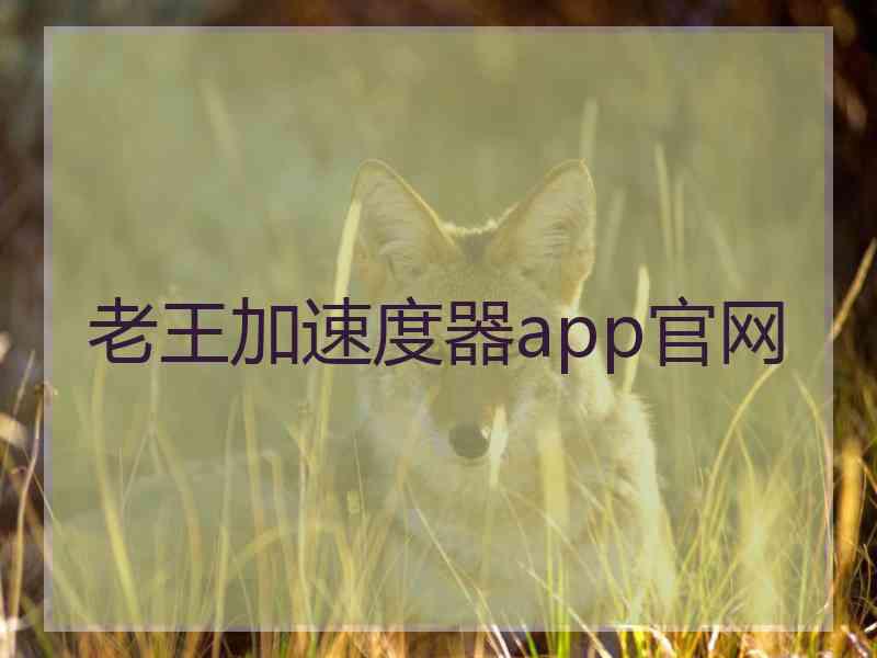 老王加速度器app官网