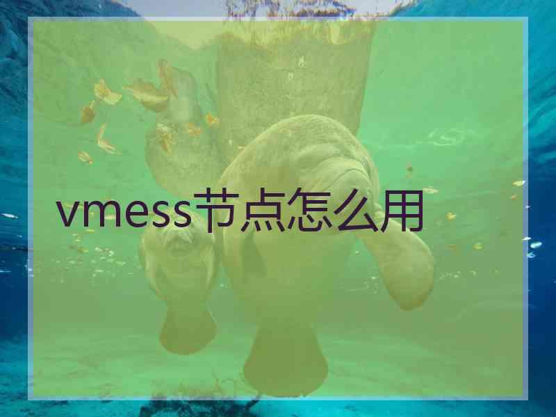 vmess节点怎么用