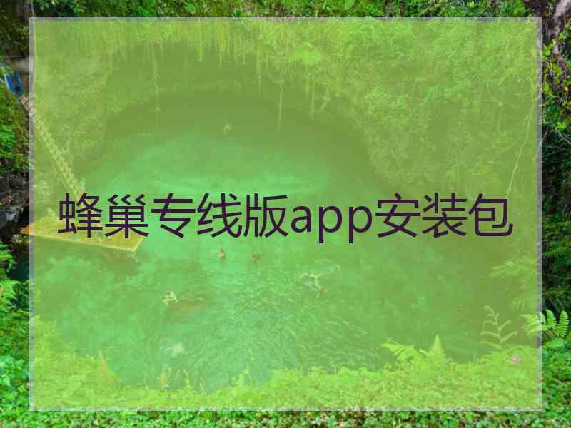 蜂巢专线版app安装包