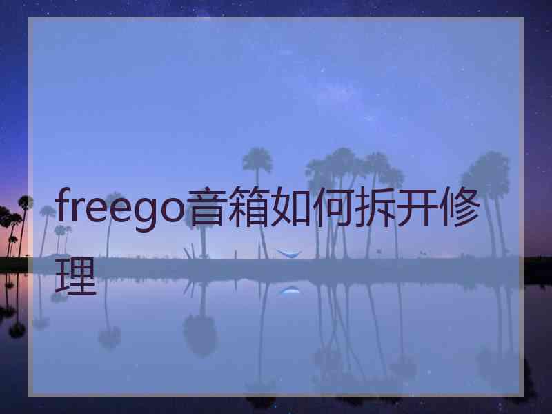 freego音箱如何拆开修理