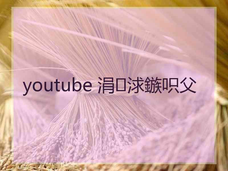 youtube 涓浗鏃呮父