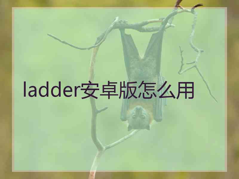 ladder安卓版怎么用