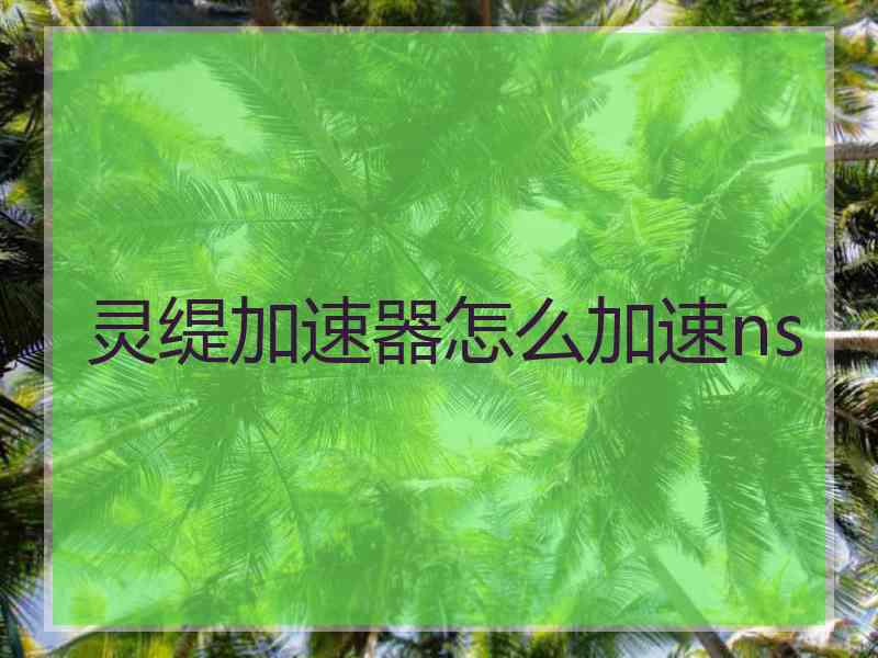 灵缇加速器怎么加速ns