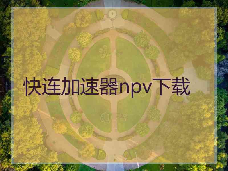 快连加速器npv下载