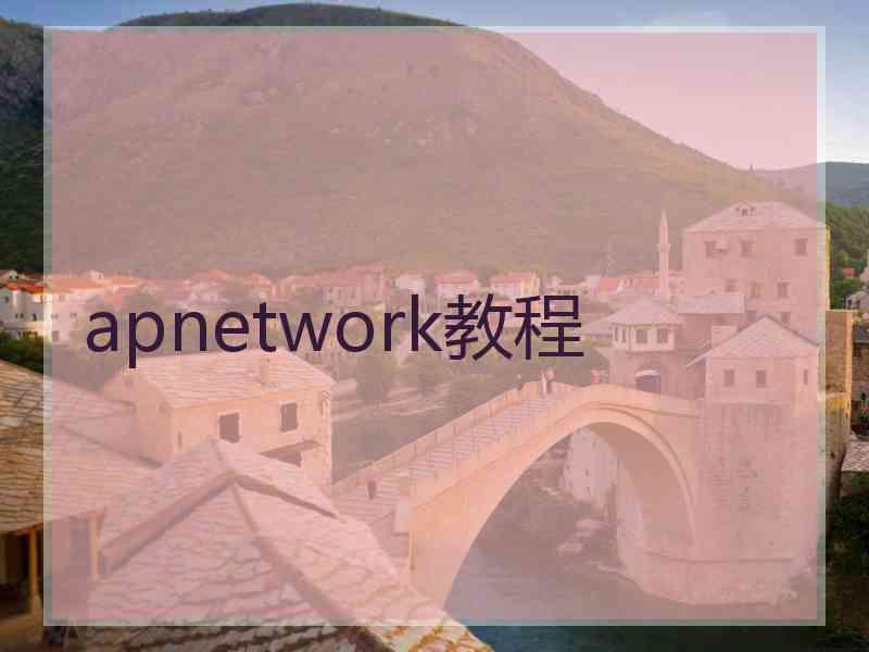 apnetwork教程