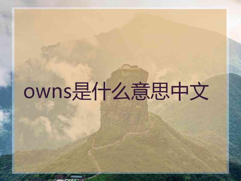 owns是什么意思中文