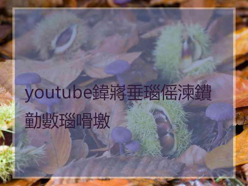 youtube鍏嶈垂瑙傜湅鐨勭數瑙嗗墽