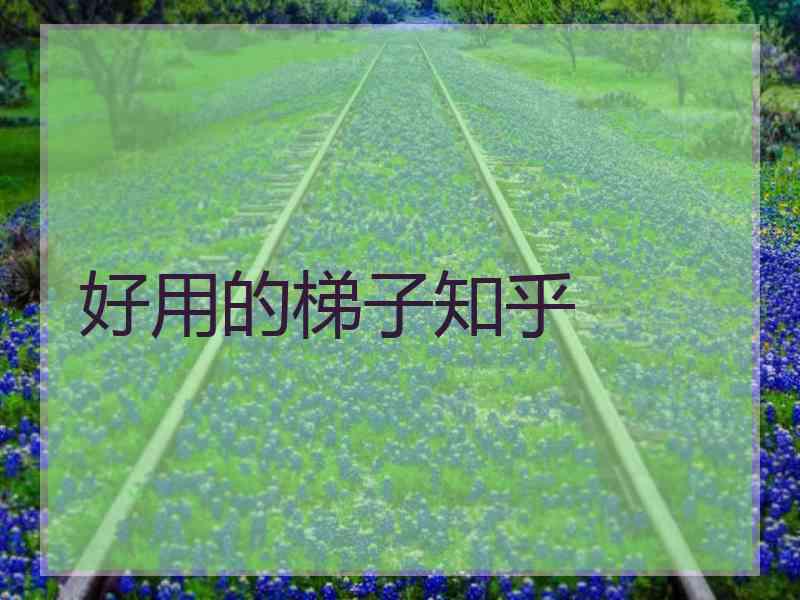 好用的梯子知乎