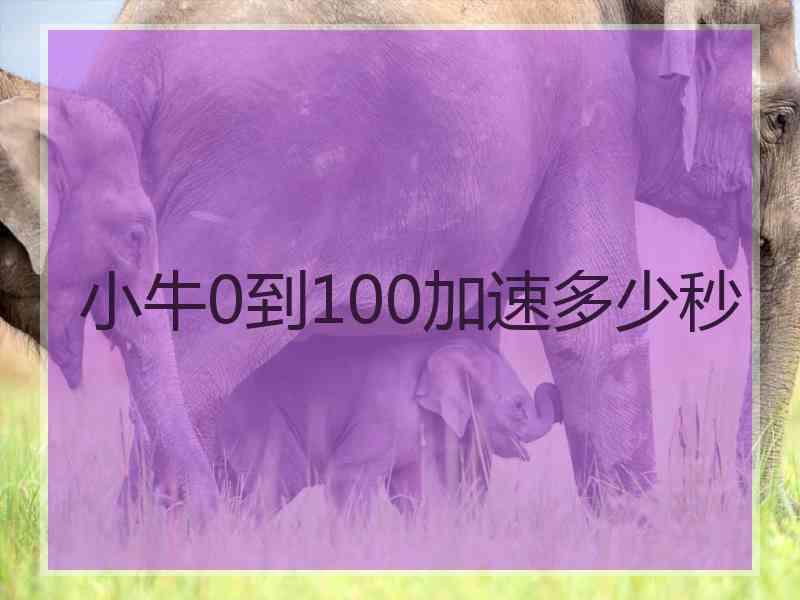 小牛0到100加速多少秒