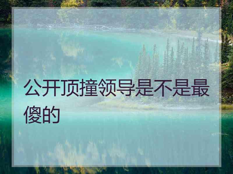 公开顶撞领导是不是最傻的