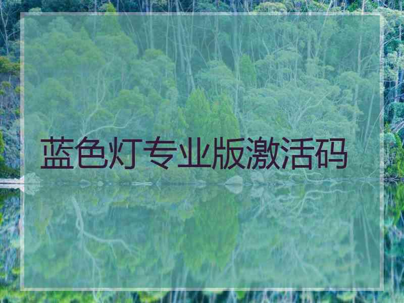 蓝色灯专业版激活码