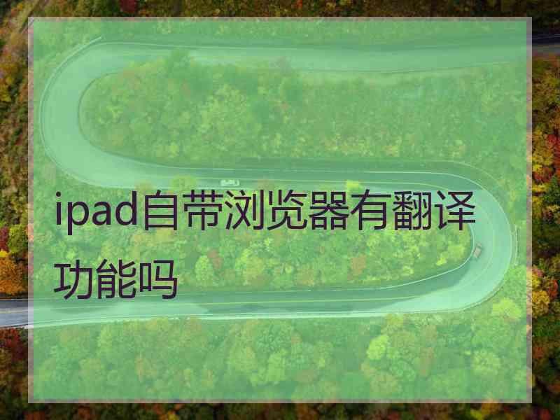 ipad自带浏览器有翻译功能吗