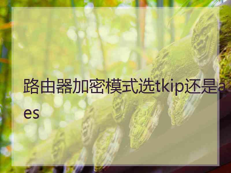 路由器加密模式选tkip还是aes