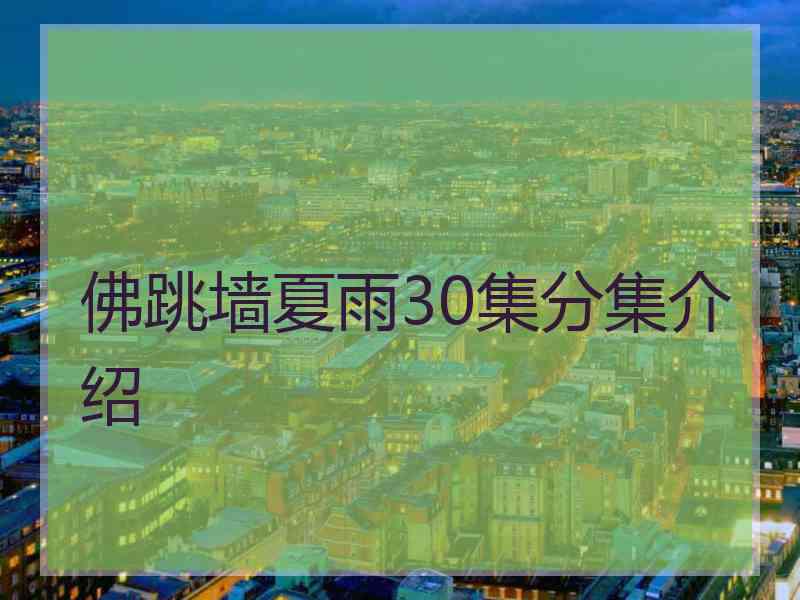 佛跳墙夏雨30集分集介绍