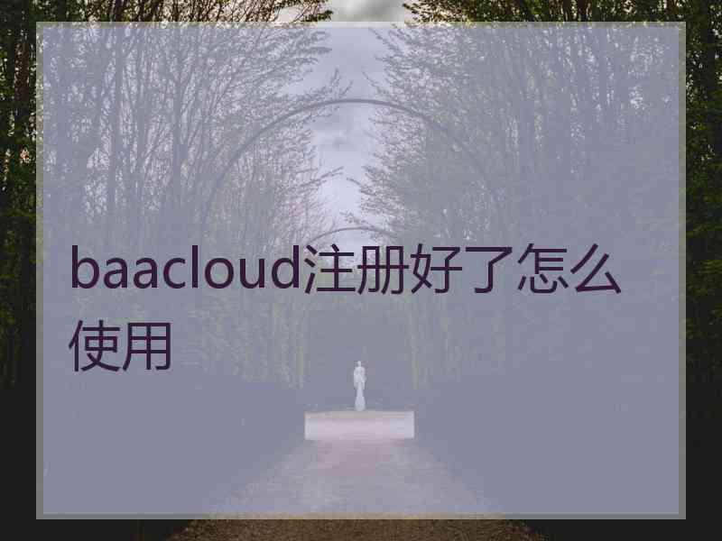 baacloud注册好了怎么使用