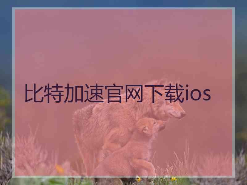 比特加速官网下载ios