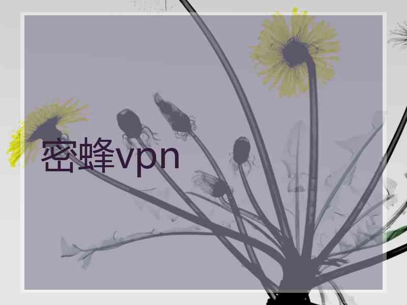 密蜂vpn