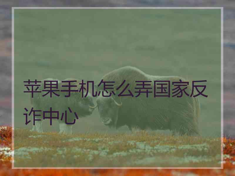 苹果手机怎么弄国家反诈中心