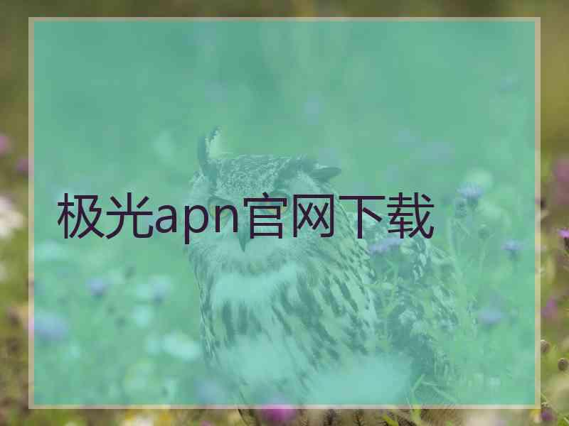 极光apn官网下载