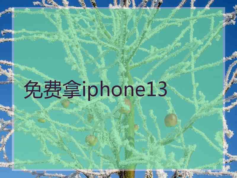 免费拿iphone13