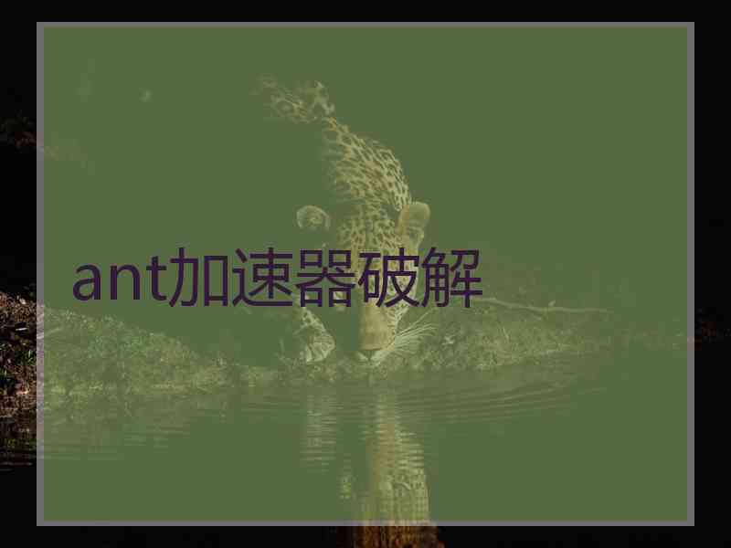 ant加速器破解