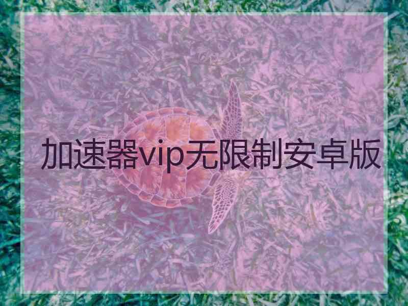 加速器vip无限制安卓版