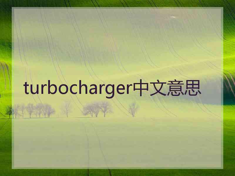 turbocharger中文意思