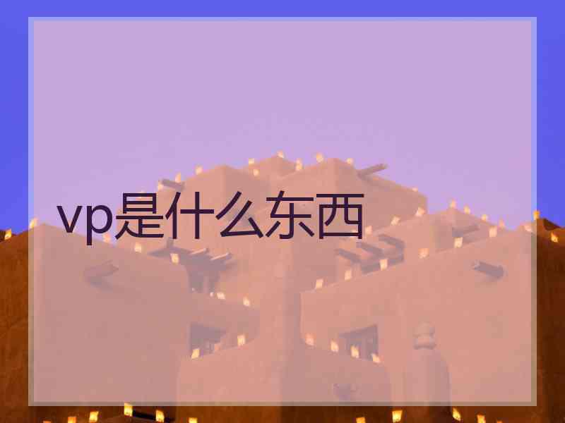 vp是什么东西