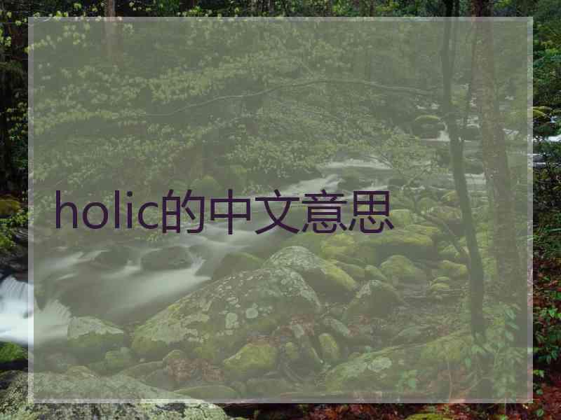 holic的中文意思