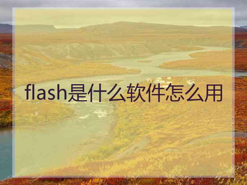 flash是什么软件怎么用