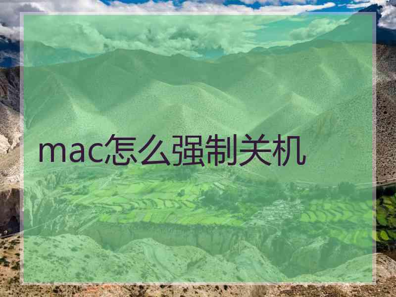 mac怎么强制关机