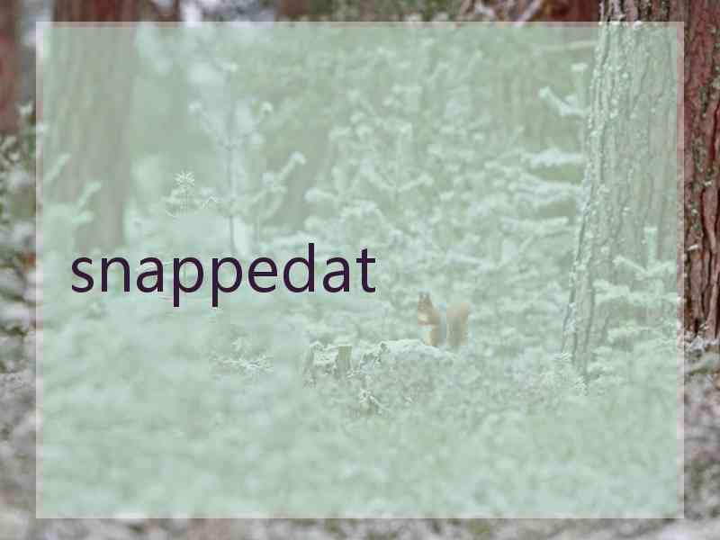 snappedat