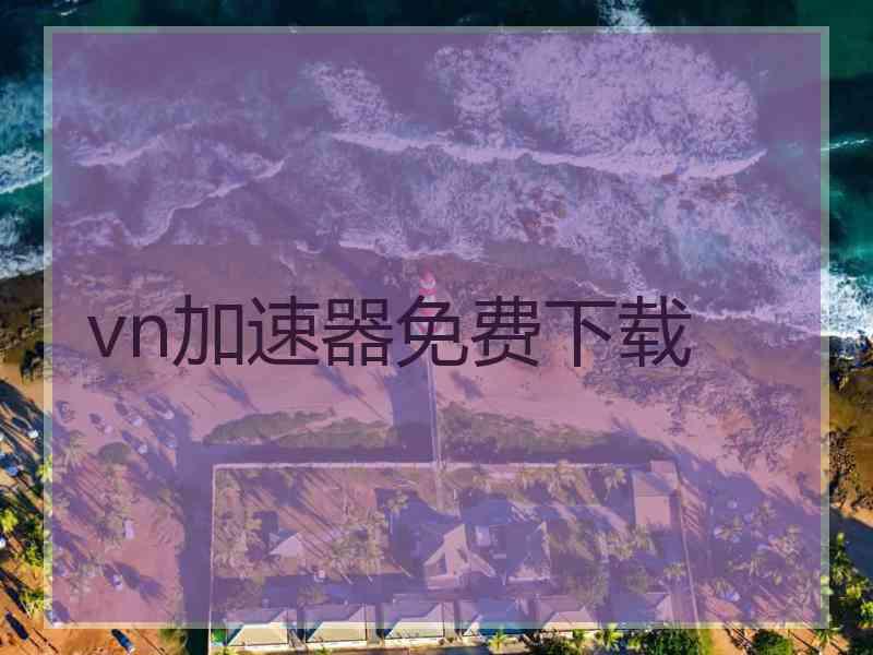 vn加速器免费下载