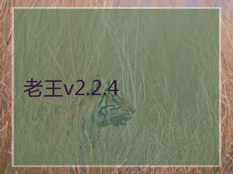 老王v2.2.4