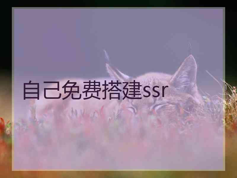 自己免费搭建ssr