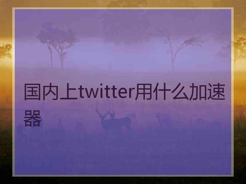 国内上twitter用什么加速器