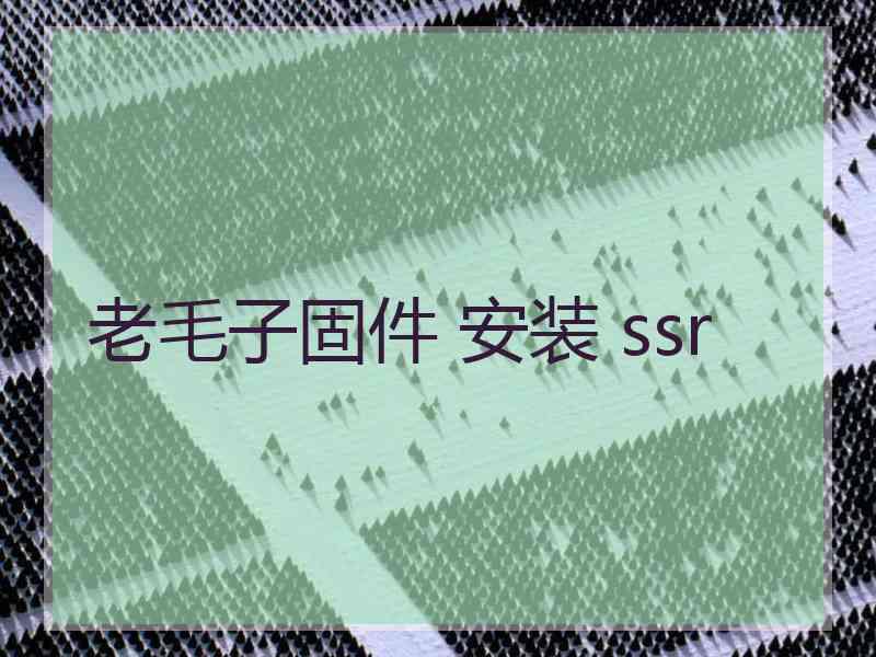 老毛子固件 安装 ssr