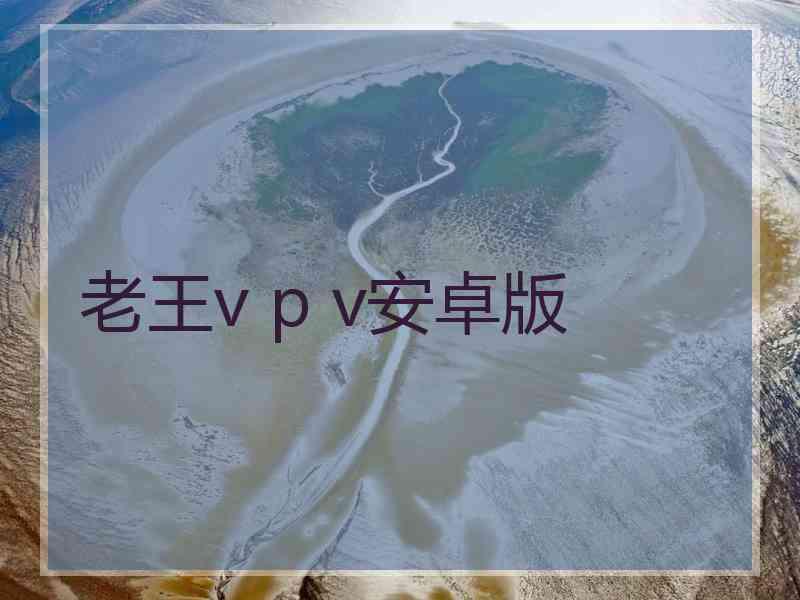 老王v p v安卓版