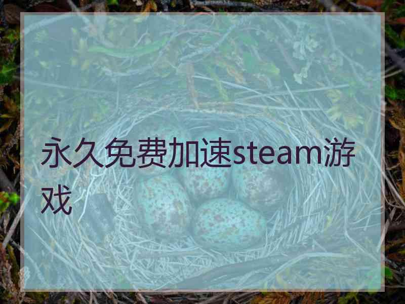 永久免费加速steam游戏