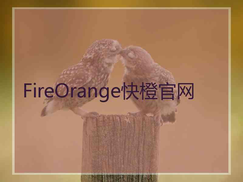 FireOrange快橙官网