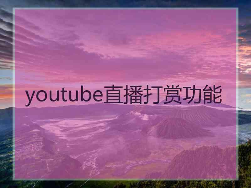 youtube直播打赏功能