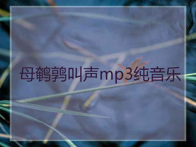 母鹌鹑叫声mp3纯音乐