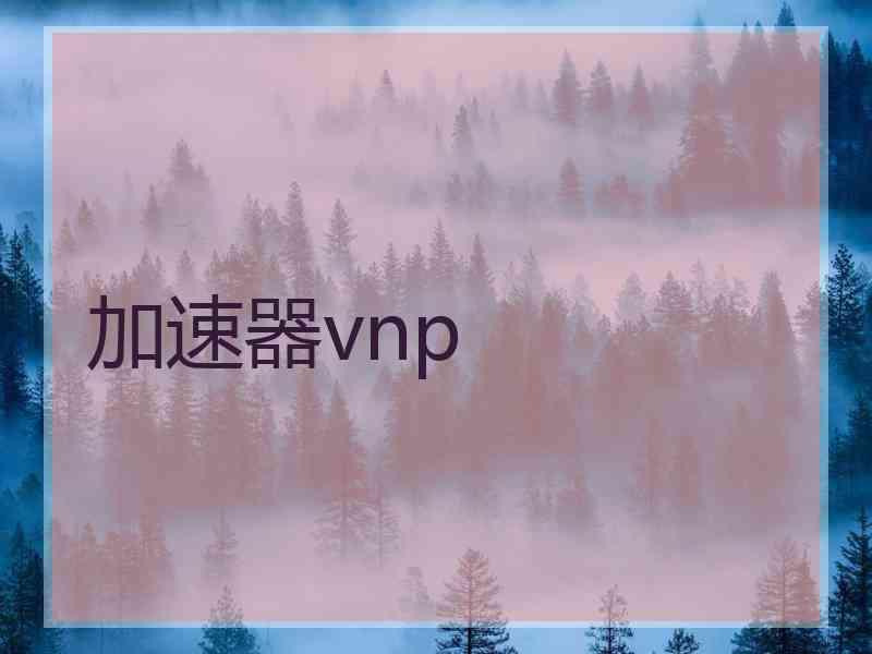 加速器vnp