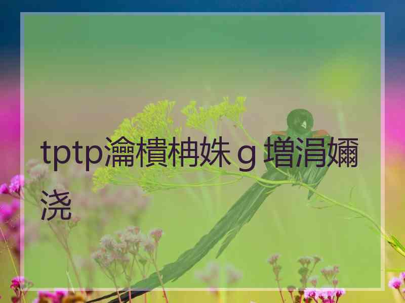 tptp瀹樻柟姝ｇ増涓嬭浇