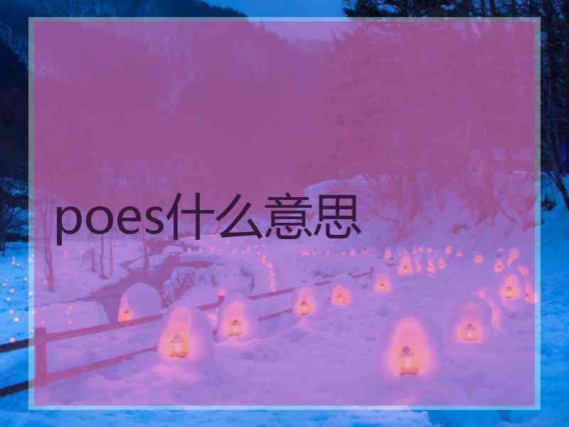 poes什么意思