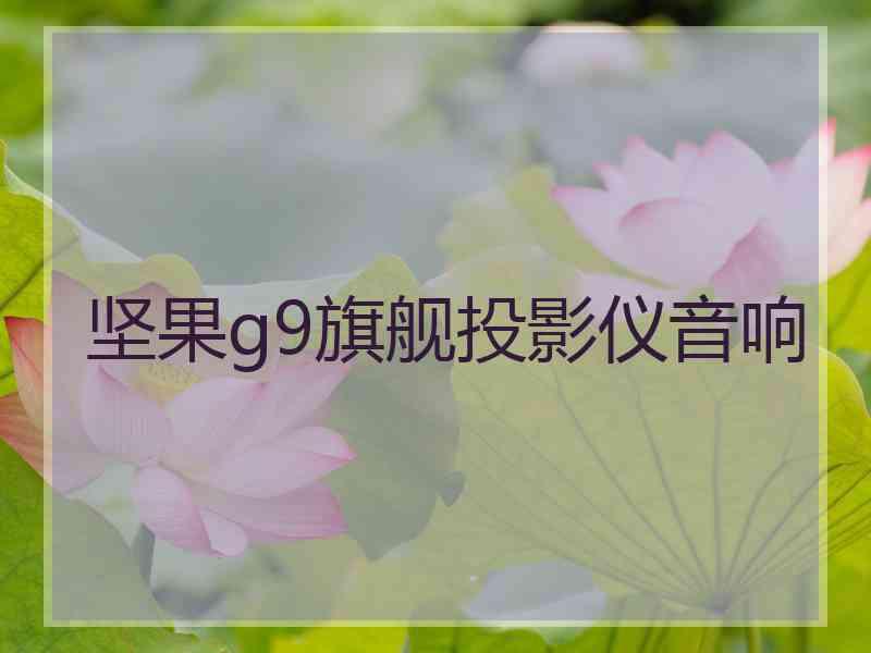 坚果g9旗舰投影仪音响