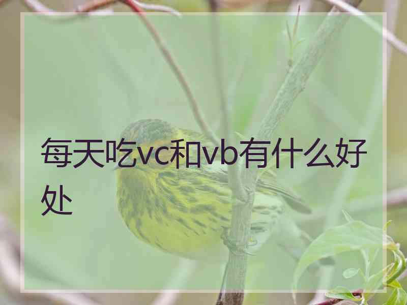 每天吃vc和vb有什么好处