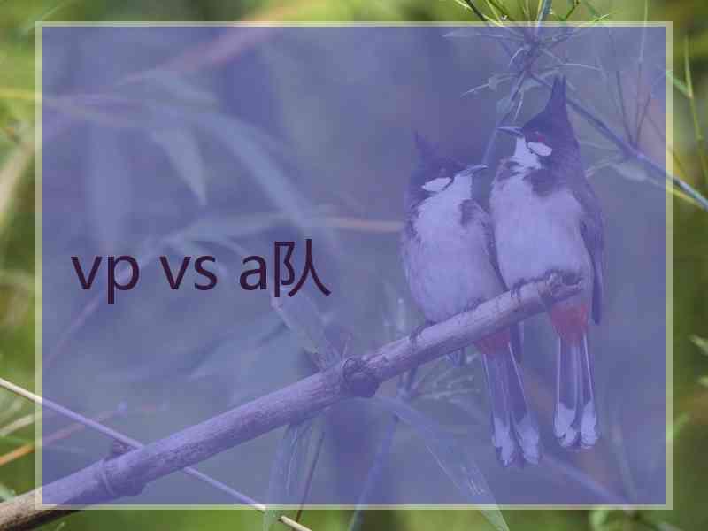 vp vs a队