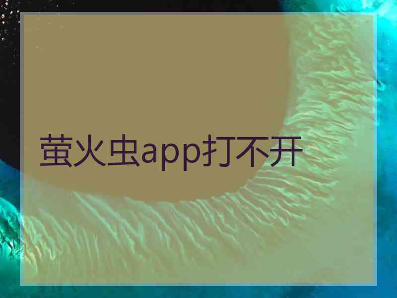 萤火虫app打不开