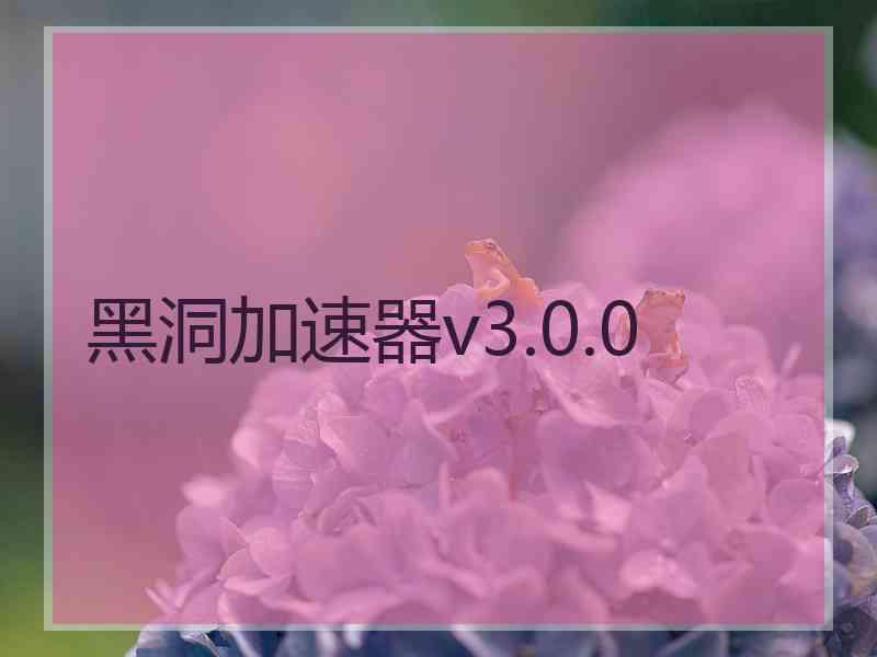 黑洞加速器v3.0.0